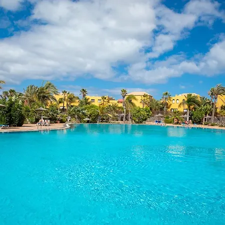 El Jasmine Κοραλέχο